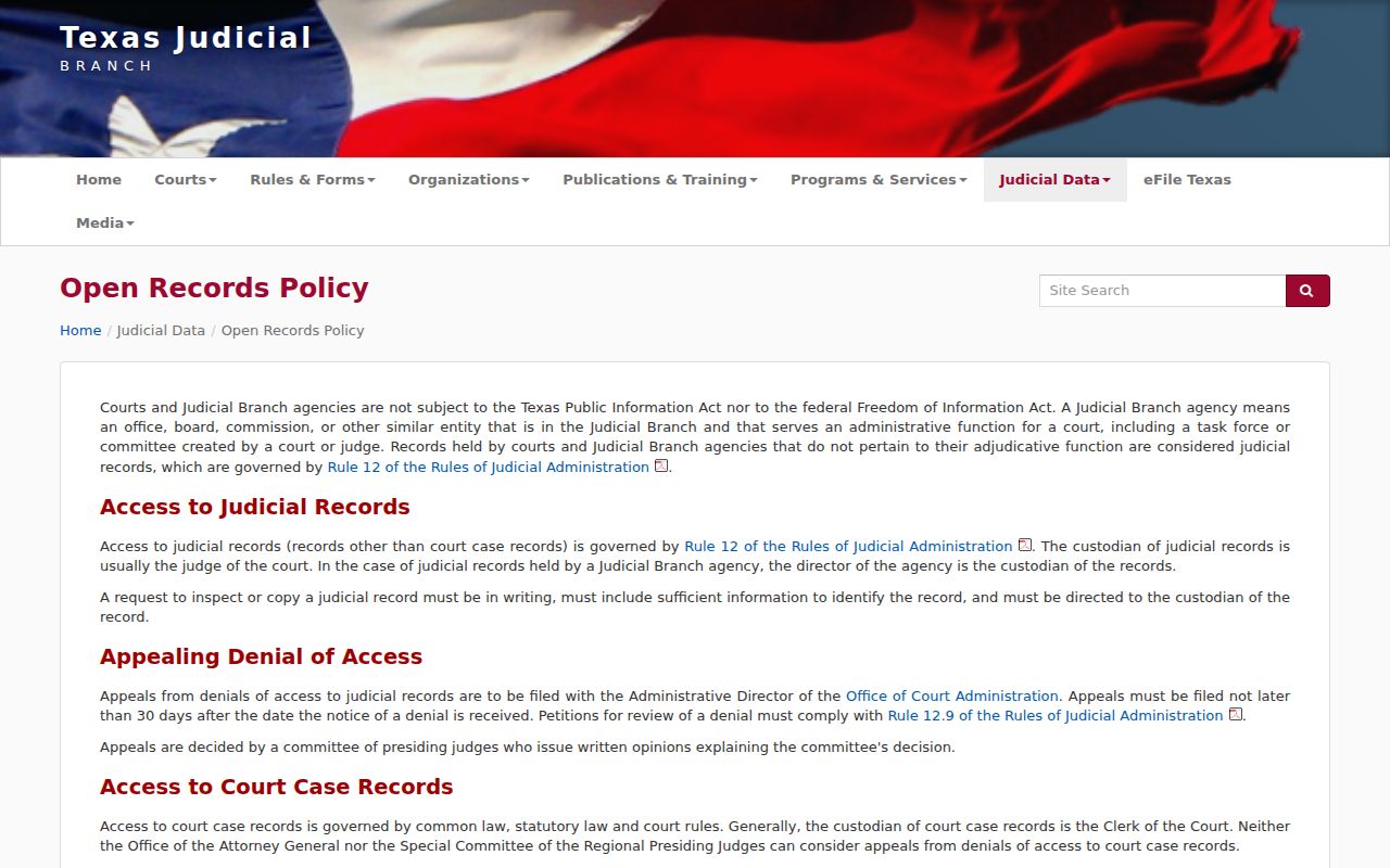 Wise County court record access through the Texas judicial-record policy